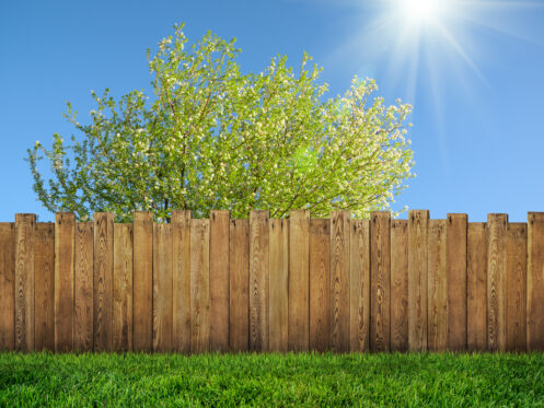 A wooden fence in a backyard in Greenville.