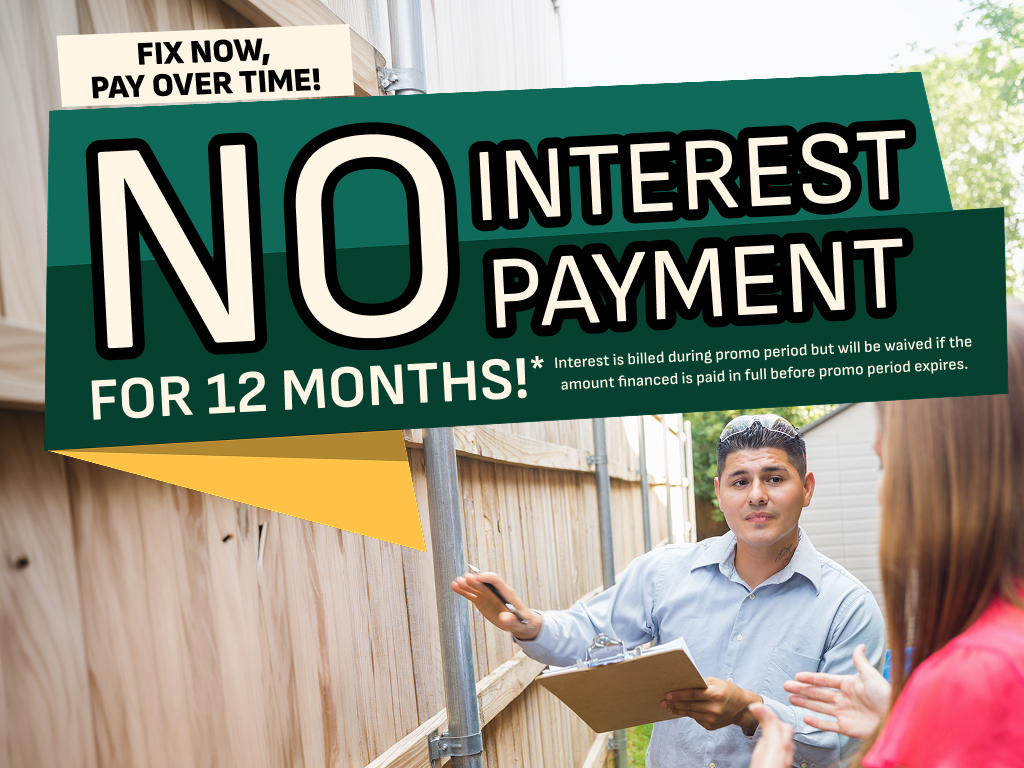 no interest payment (1)